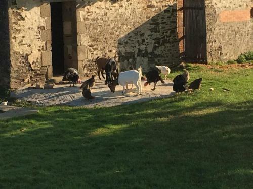 Bed & Breakfast Le Dragon Dans Les Buis
