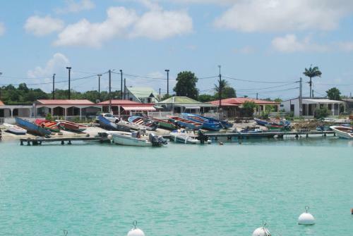 G�te Poz Kreyol