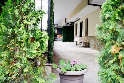 Flora Beach Apartaments