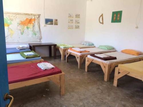 Shkolla Hostel & Camping