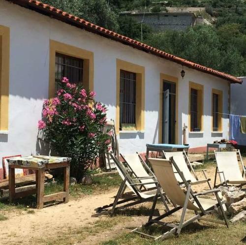 Shkolla Hostel & Camping