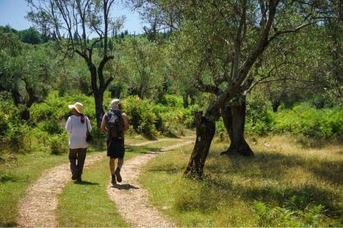 Shkolla Hostel & Camping