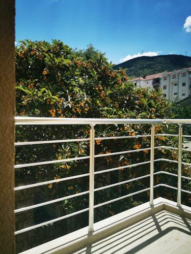 Apartmani Tom