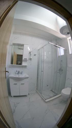 Apartmani Tom