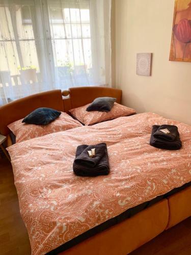 Apartamento Ubytov�n� U Mike?a