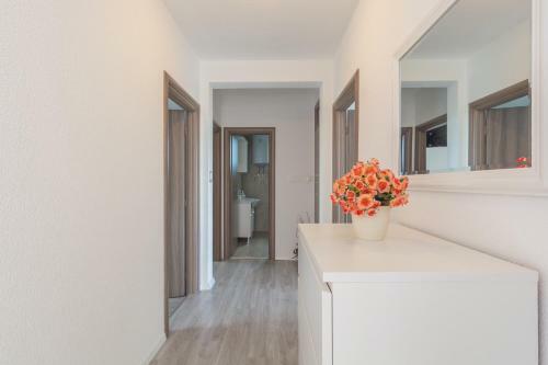 Apartment Kozina