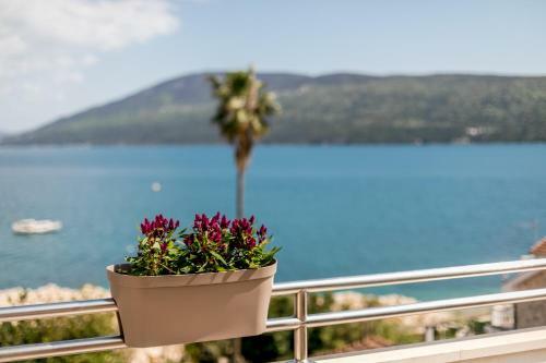 Apartmani Laban