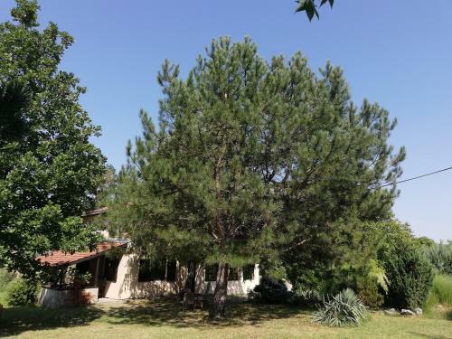 Villa Vila Timok