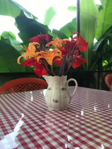 Hostal Guest House Emida