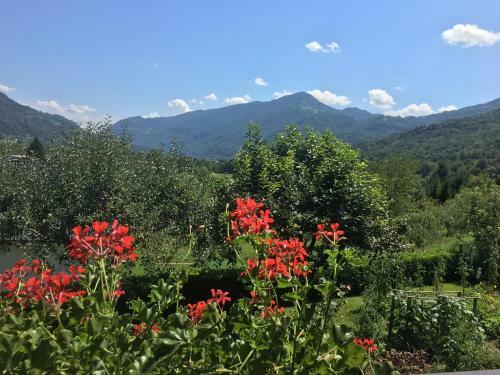 Apartma Panorama