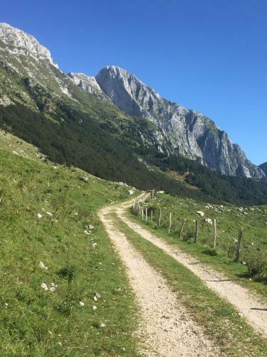 Apartma Panorama