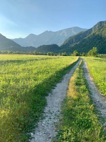 Apartma Panorama