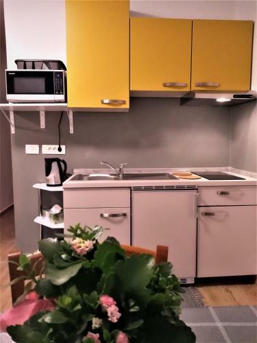 Apartman View