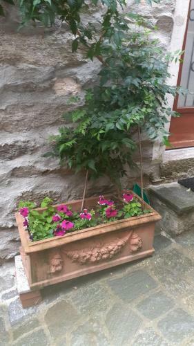 Rustico - Maisonette Haus ?rustico Str�cc?