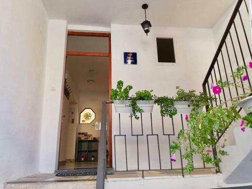Hostal Puntin Rooms Sobe