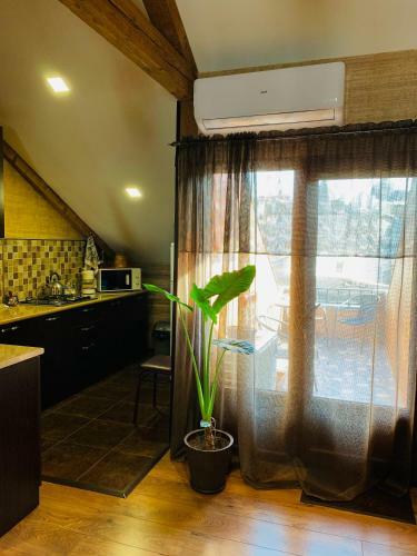 Beautiful Apartment On Atoneli