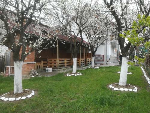 Hostal Casa Alina