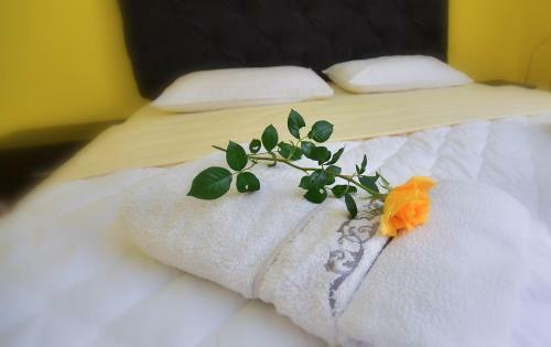 Apartamento Nana Tekija