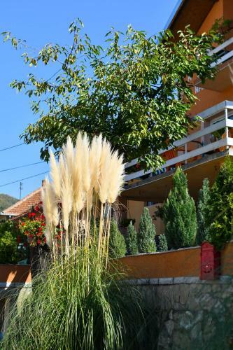Apartamento Nana Tekija