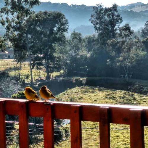 Pousada E Camping P� Na Trilha