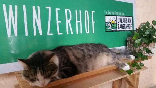 Hostal Winzerhof Fleischmann