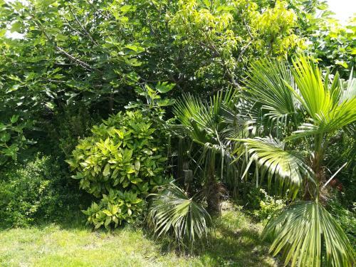 Top Villa Althea