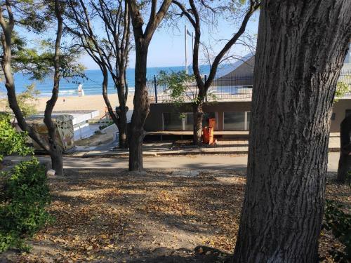 Apartamento Beachfront & Seaview