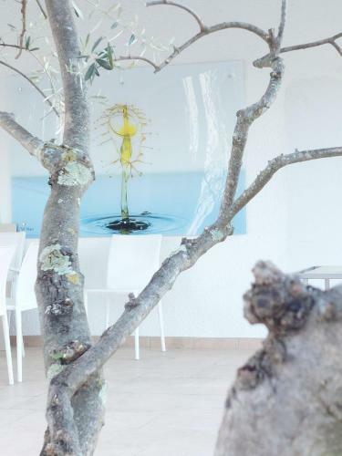 Bed & Breakfast Croissant De Lune
