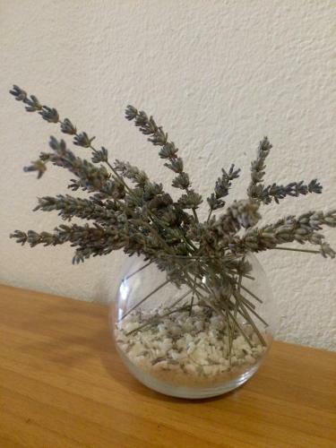 Apartmani Brusel