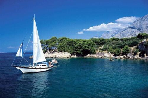Apartments Villa Vesna Podgora - Cdm05026-cya