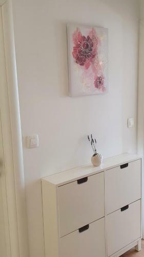 Apartmani Sani