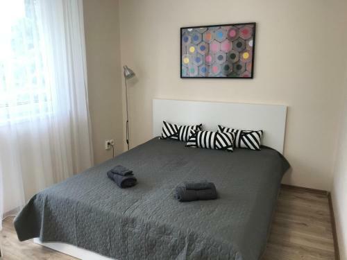 Sup Apartman- A Calm Place In Vibrating Siofok