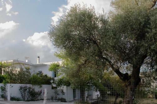 Apartamento Minos Studio, Kandanos