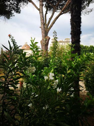 Villa Artemisia
