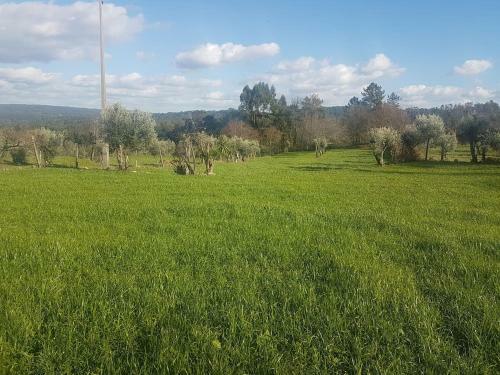 Quinta Jr - Casa De Campo