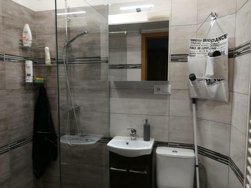 Apartament Pmc
