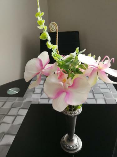 Apartament Pmc
