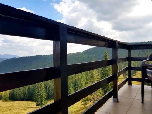 Hostal Pensiunea Patricia, V�rful Lui Roman