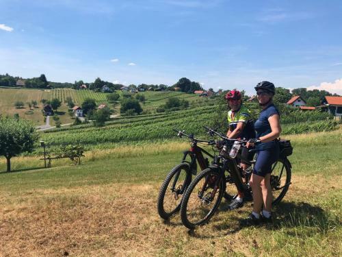 Kellerst�ckl Im Uhudlerland