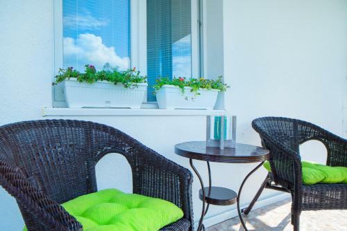 Apartman Vi?nja