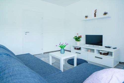 Apartman Vi?nja