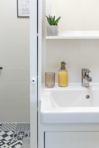 Studio Apartments Agostini