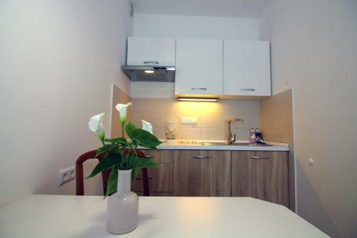 Apartments Antonio
