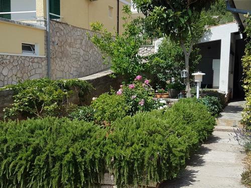 Apartments Antonio