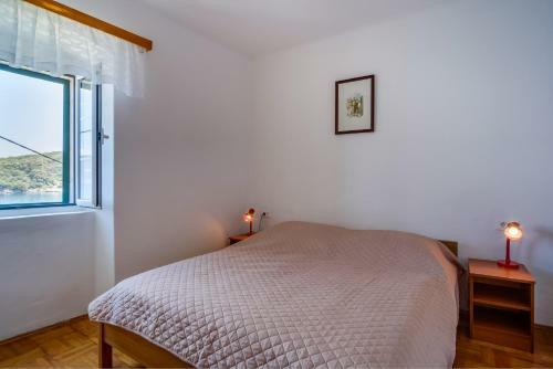 Apartments Valun