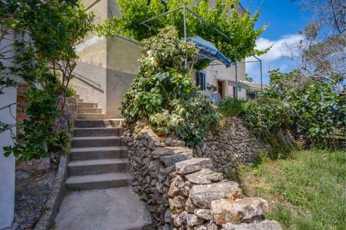Apartments Valun
