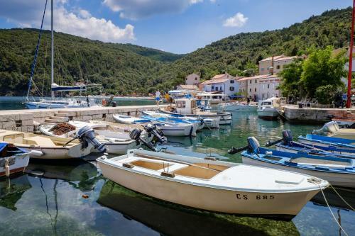 Apartments Valun