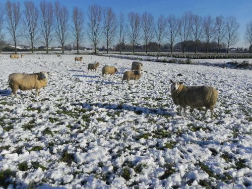 Bed & Breakfast Hoeve De Mertel