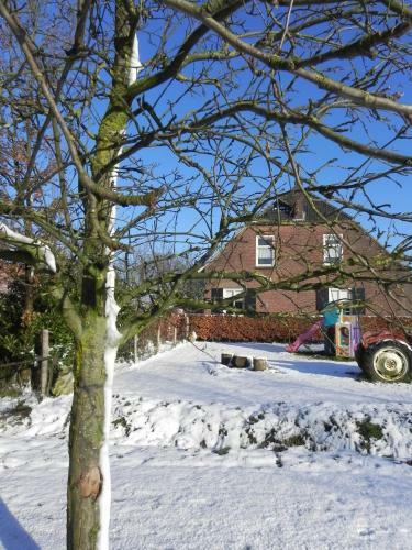 Bed & Breakfast Hoeve De Mertel