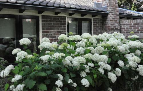 B&B De Oude Walnoot